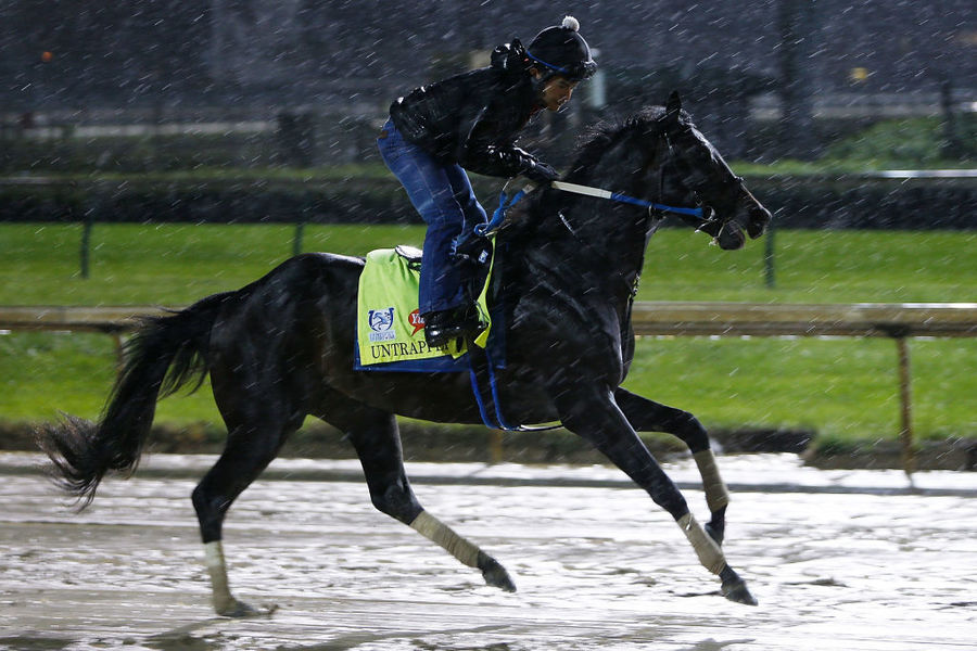 Photo gallery Meet the horses running the Kentucky Derby Gallery